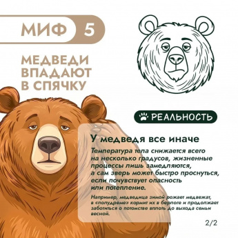 «Земля медведя: правила добрососедства»